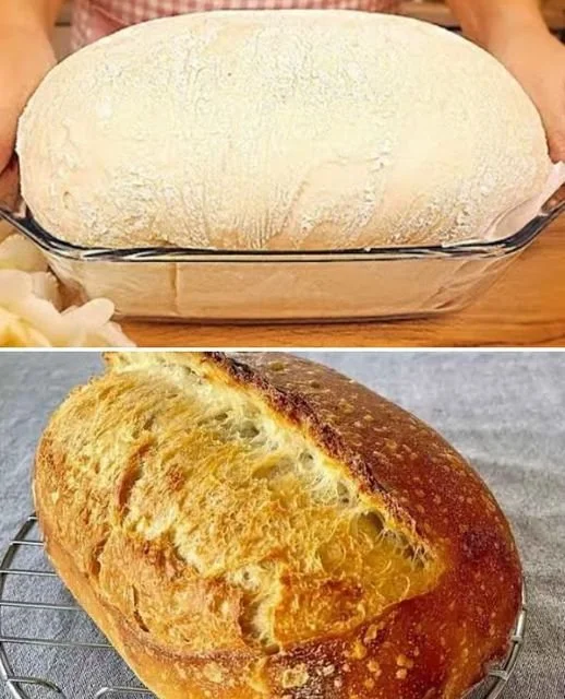 Pane Rustico della Nonna